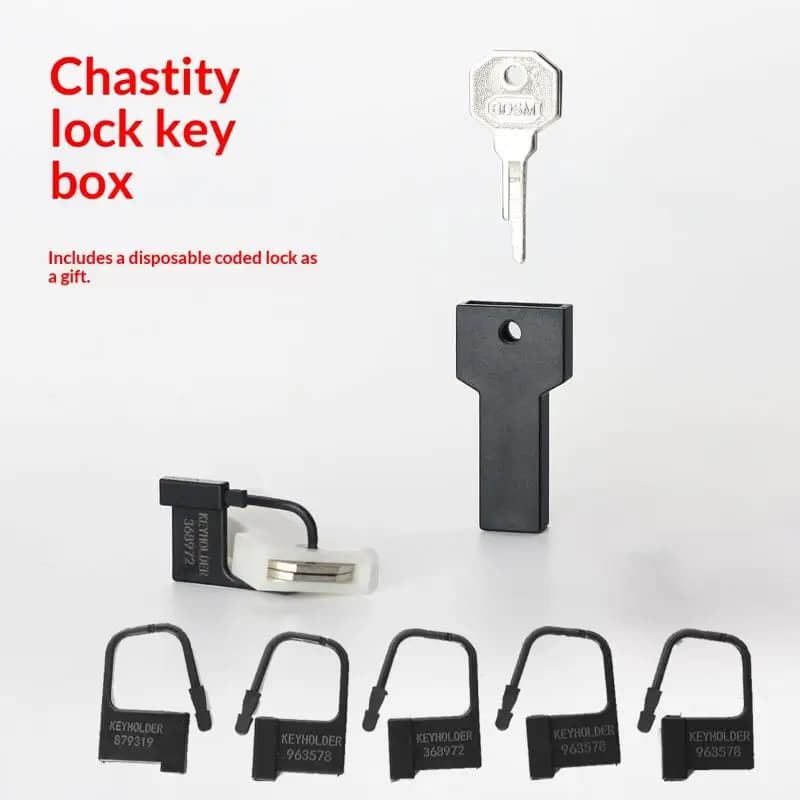 Chastity cage key storage box with disposable locks - thumbnail 3