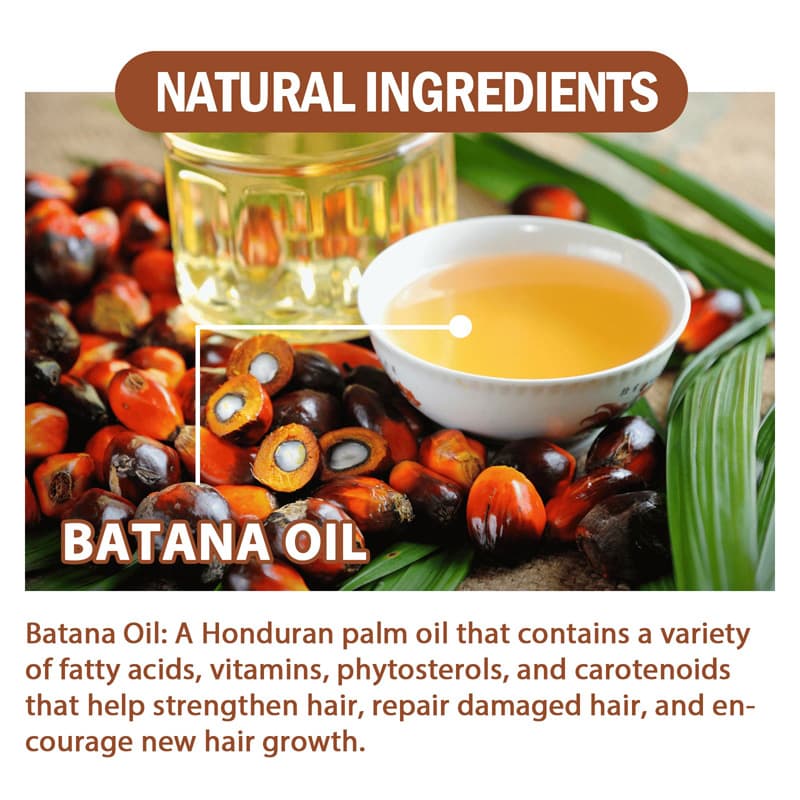 Batana Oil Hair Conditioner, Natural Batana Oil For Hair Growth For Healthier Thicker Hair, Stimulates Hair Follicles - image 1